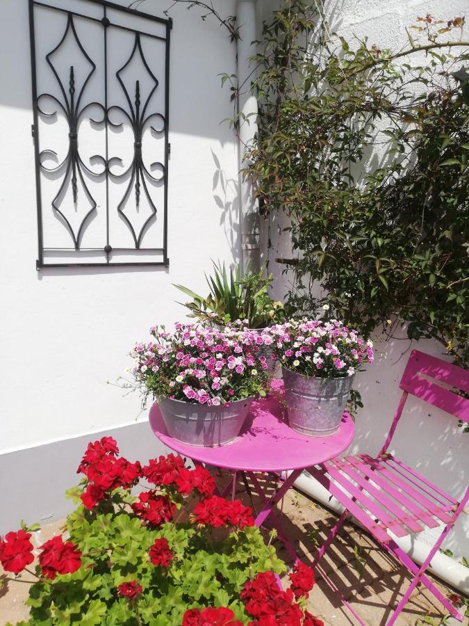 La Petite Maison De Marie Licques Exteriér fotografie